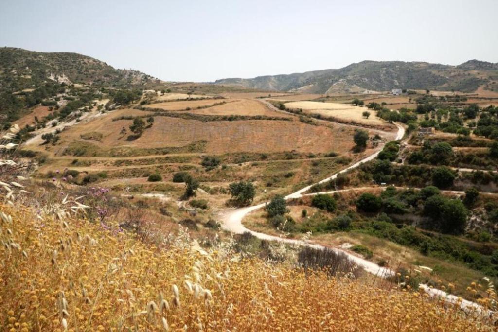 Panoramic Holidays Peyia Exterior foto